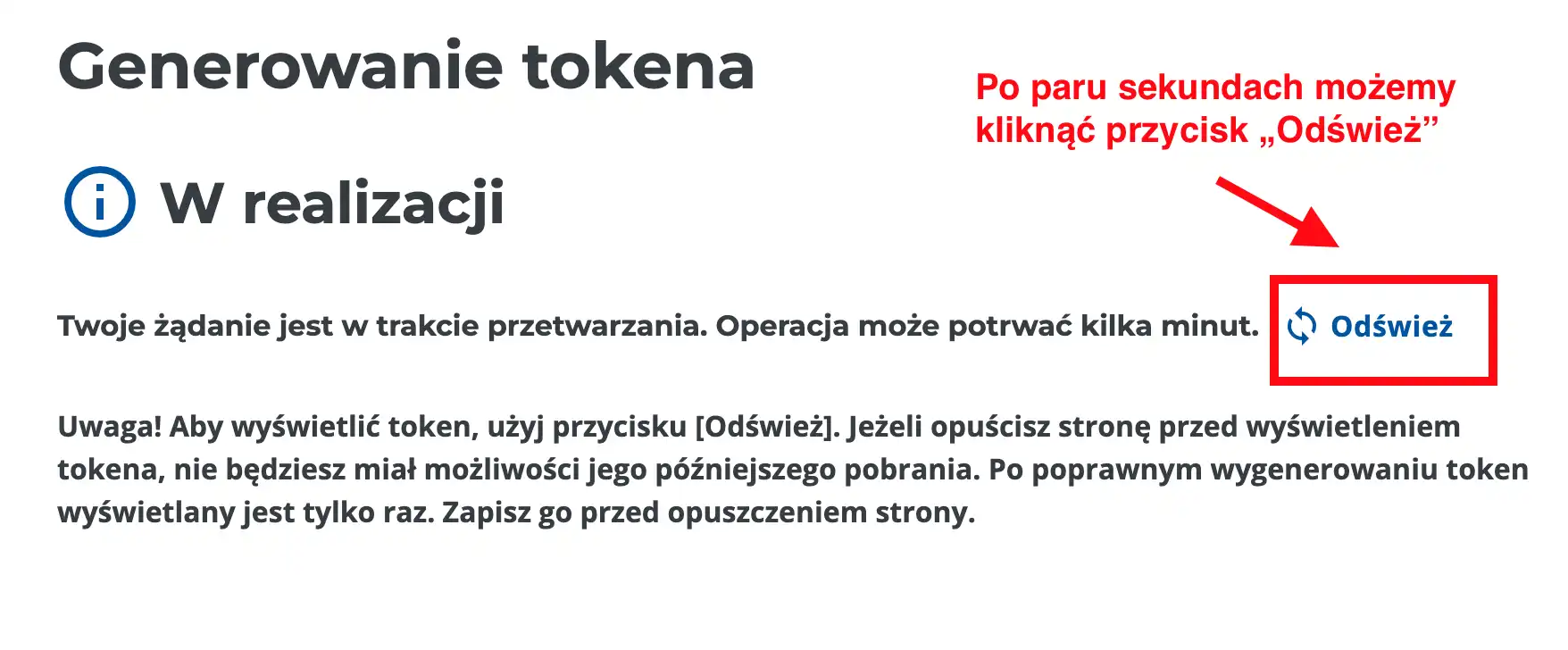 Ekran generowania tokena w realizacji